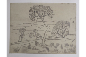 Krajina se stromem v popředí